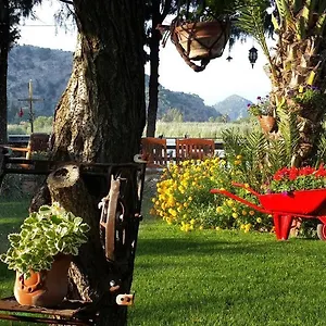 Happy Caretta *** Dalyan